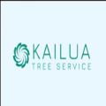 Kailua Tree Service