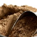 Cricket Protein Powder Market Poised for an Explosive Growth in the Near Future