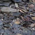 Oil Shale Market Demand and Growth Analysis with Forecast up to 2030