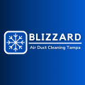 Blizzard Air Duct Cleaning - Tampa
