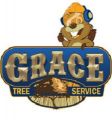 Grace Tree Service - Kokomo Indiana