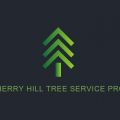 Cherry Hill Tree Service Pros