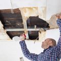 Charlottesville Mold Removal