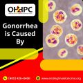 Gonorrhea Is Caused By