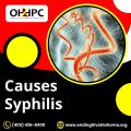 Causes Syphilis