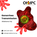Gonorrhea Transmission