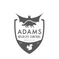 Adams Wildlife Control