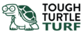 Tough Turtle Turf - Las Vegas Artificial Grass, Landscaping, & Paving Company