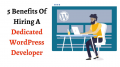 5 Benefits Of Hiring A Dedicated WordPress Developer