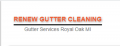 Renew Gutter Cleaning