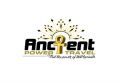 Ancient Power Travel LLC