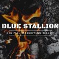Blue Stallion Digital Marketing Group