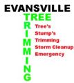 Tree Trimming Evansville