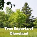 Tree Experts of Cleveland