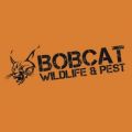 Bobcat Wildlife & Pest Management