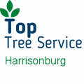 Top Tree Service Harrisonburg