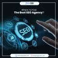 Local SEO Company | Best SEO Packages USA | Link Building Service USA - Zippyseo