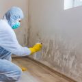 Mold Experts of Baton Rouge