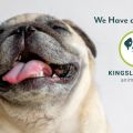 Kingsland Blvd Animal Clinic