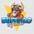 Buffalo DJ Dudes