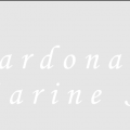 Cardona Marine Surveys