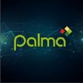 Palma Financial Services, Inc.