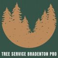 Tree Service Bradenton Pro