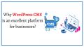 Why WordPress CMS is an excellent platform for businesses?