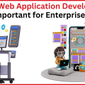 Why is Web Application Development Important for Enterprises?