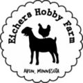 Eichers Hobby Farm