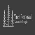 Savannah Tree Removal Pros
