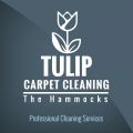 Tulip Carpet Cleaning The Hammocks
